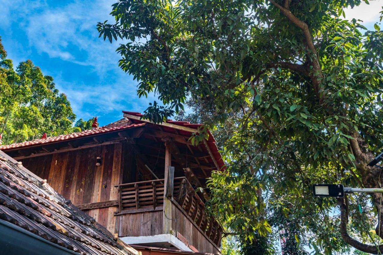 Castillo De Woods , The Private Luxury Villa , 8 Bhk, Vattavada Kottakamboor Kültér fotó